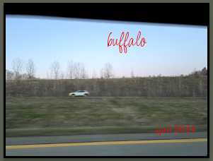 Buffalo